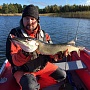 ����� ������ 2015. ������������ ������ Blade Cross 110 MS American Shad. �� ���� ����������,-Spotted Shad � Nishiki, �� ����� ��������� ���� ������� �������. ������� �������� ������� ��������� �����������.