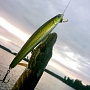 Flash Minnow 110