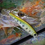 Lucky Craft Pointer 48 SP	Aurora Bass