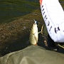 ������� �� ��� ������