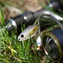 S-Roller 30S � ������������ ��������� Chartreuse Shad